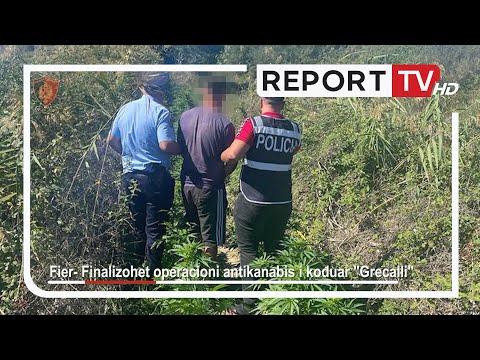 Report TV -Kishte mbjellë kanabis në tokën e tij, arrestohet 28-vjeçari në Fier