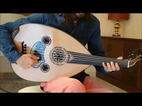 Oud Improvisation - Zeynel Demirtaş // Faruk Türünz Turkish Oud