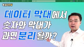 엑셀 데이터 막대에서 숫자와 막대를 분리하여 가독성 높이기 | 엑셀러 권현욱