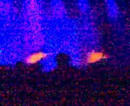 Rodrigo y Gabriela - One live in Brussels AB 3 dec 2007