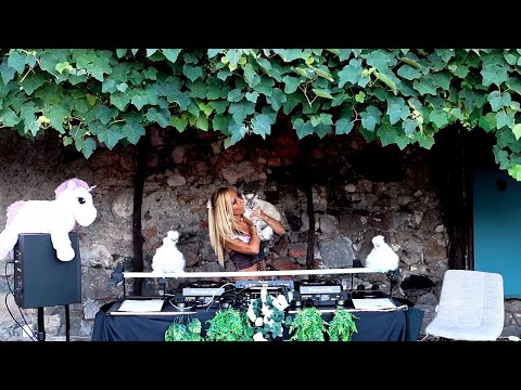 Techno Chickens - Lysa Chain Outdoor dj set