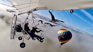 MAN AND BEAST - Part 54 - Great Animal Compilations