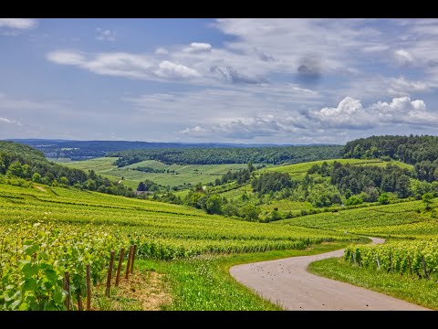 A Few Days Exploring the Côte-d'Or in Burgundy France.
