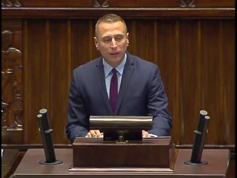 Krzysztof Brejza o transporcie padłych świń i ryzyku ASF
