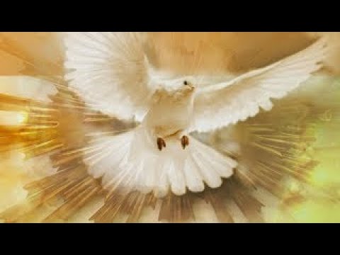 download lagu mp3 mp4 Musicas De Espirito Santo Catolicas, download lagu Musicas De Espirito Santo Catolicas gratis, unduh video klip Download Musicas De Espirito Santo Catolicas Mp3 dan Mp4 Full Gratis