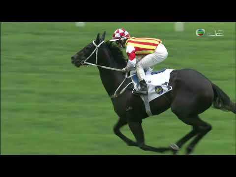 2021/22 (624) - Circuit Nine (電路九號) - 蔡明紹 (初出後上輕取對手)