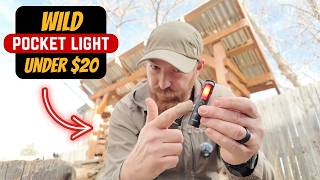 Why Is No One Telling You About This Light?