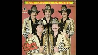 GALLO DE PELEA TIGRES DEL NORTE 1981
