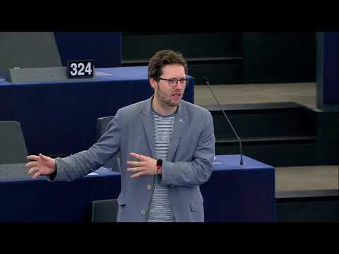 Jan on the Entry Exit System, plenary 25 October 2017