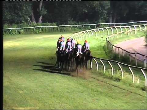 Galoppo 08/07/2015 - 6° corsa