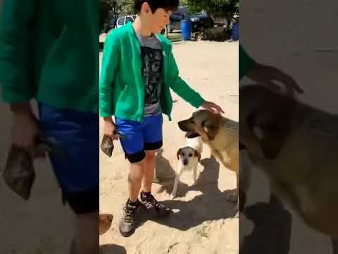 Vídeo de ZORBA