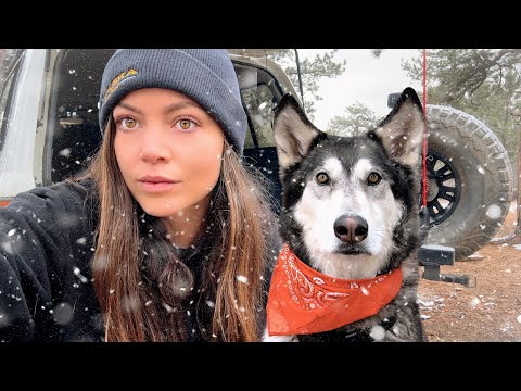 solo winter camping with my wolfdog (cold and alone)