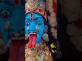 Angali Amman Melmalayanur Raja Amman Alangaram Raja Bhadrakali Amman