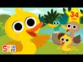 Ducks Ducks Ducks Quacky Kids Songs Super Simple Songs