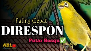 Download lagu CIAK CIAK JOSS KECIAL KUNING AMPUH||PANCINGAN KECIAL MALAS BUNYI|| mp3 Download lagu CIAK CIAK JOSS KECIAL KUNING AMPUH||PANCINGAN KECIAL MALAS BUNYI|| mp3