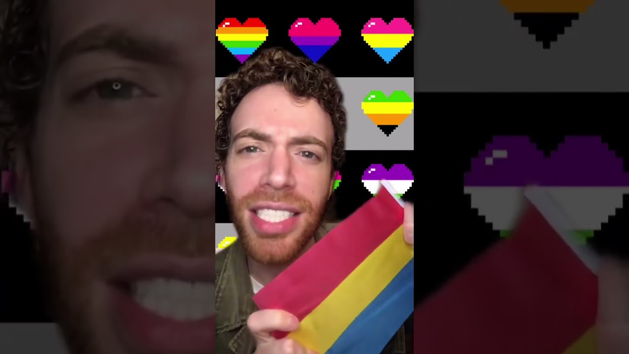 THE PANSEXUAL FLAG! 🏳️‍🌈 Subscribe for Every Flag #lgbt #lgbtq #pan #pansexual