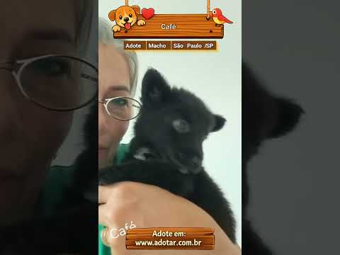 Vídeo de Café