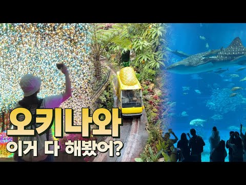 오키나와: 청량한 풍경과 풍부한 문화로 가득한 여행지