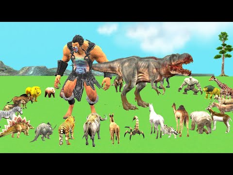 The Ultimate Battle 33 Wild Animals vs Lion man Dinosaur Death Run Zigzag Down Course! from Outsid