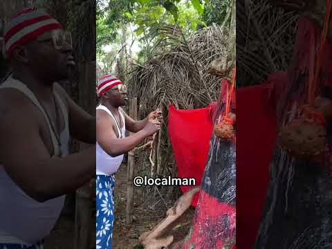 local man with native doctor