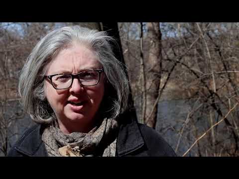 Boston Uncovered: Olmsted Park