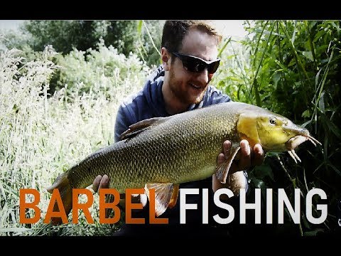 Barbel Fishing -  Nearly Lost My Rod!