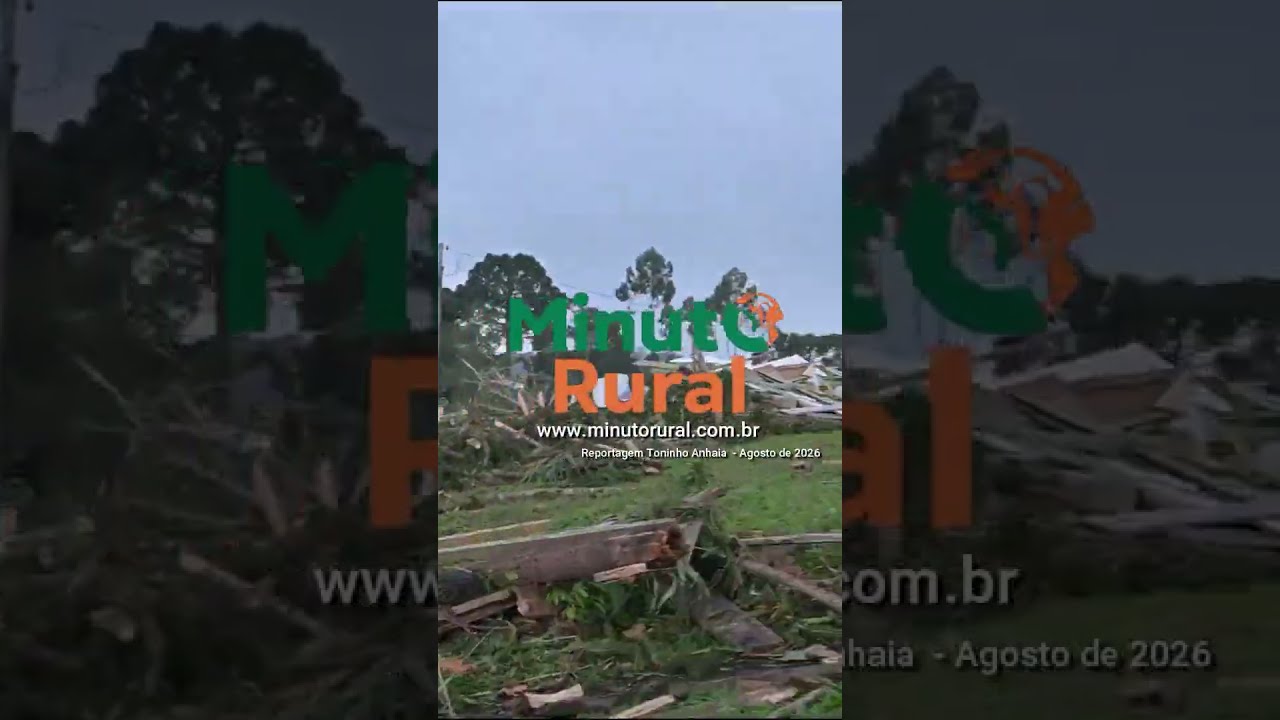 🌪️ Tornado deixa rastro de destruição em Piraí do Sul