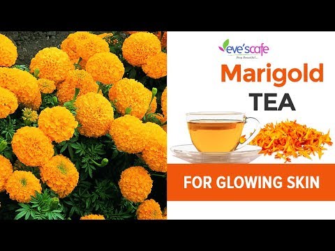 , title : 'DIY - Marigold Tea & Its Benefits  | Get Younger Looking Skin naturally'