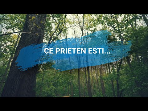 Ce prieten esti - cantare de incurajare [Lyrics Video]