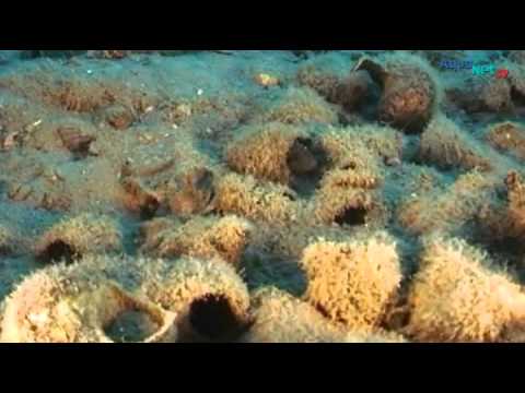 Documentario sul Lago Tanganyika
