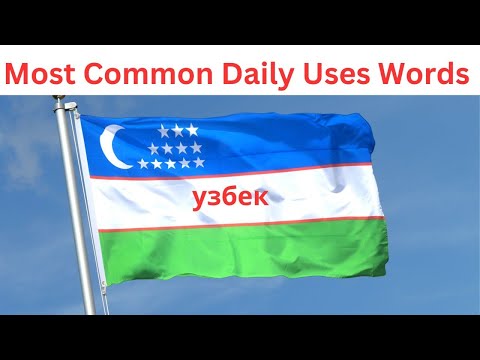 Learn Uzbek Question words  #shorts