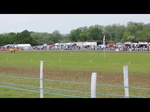 Frittenden - The Battle Of Britain Grasstrack 25th May 2015