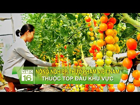 , title : 'Ngành nông nghiệp thực phẩm Việt Nam nằm trong top đầu khu vực | VTC16'