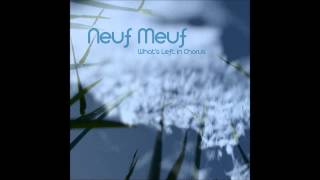 Neuf Meuf - Entertainment for the braindead - colours (Neuf Meuf remix)
