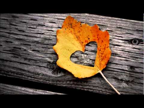 The Do - Too Insistent (Trentemoller Remix)