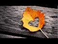 The Do - Too Insistent (Trentemoller Remix) 
