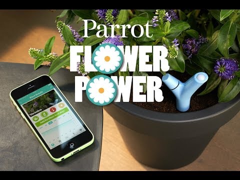Parrot Flower Power Video #1
