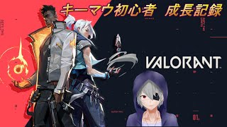 【VALORANT】深夜にこっそりVALO