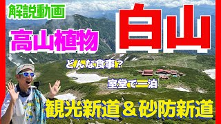 【白山】ご来光と花の楽園！一泊二日で登る霊峰の絶景と出会い旅