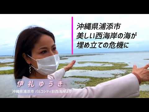 看護学科 伊礼ゆうき、浦添市西海岸の埋め立ての危機に