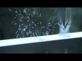 "Little Baby Pines" by SUNBEARS! :: Unofficial ...
