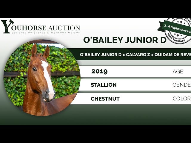 O'Bailey Junior D