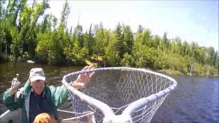 A Landing Net's Life