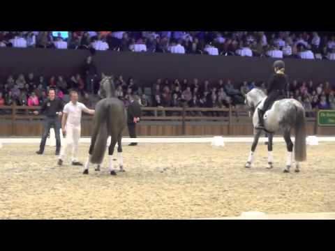 Today 2 februari 2014@ WEN Azelhof