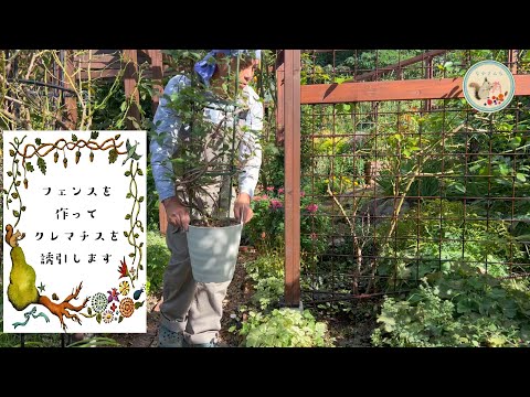 つるバラ「ジャスミナ」 植物