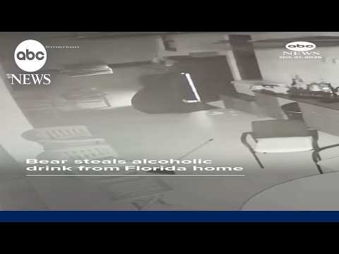 Bear steals alcoholic drink from Florida home