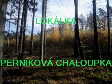 LOKÁLKA   PERNÍKOVÁ CHALOUPKA
