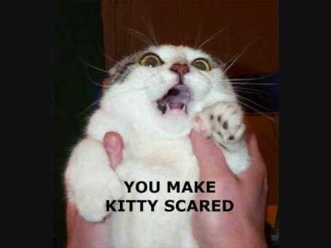 Really Scary~ The Arrogant Worms