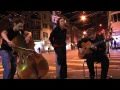 No° 19.2 ZAZ - Dans Ma Rue - A Showtogo.ch by ...