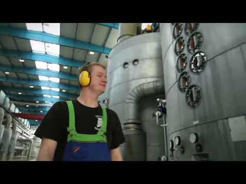 SUGAR Making Process from Sugar beet in Factory   Sugar beet Harvesting and Processing 2024